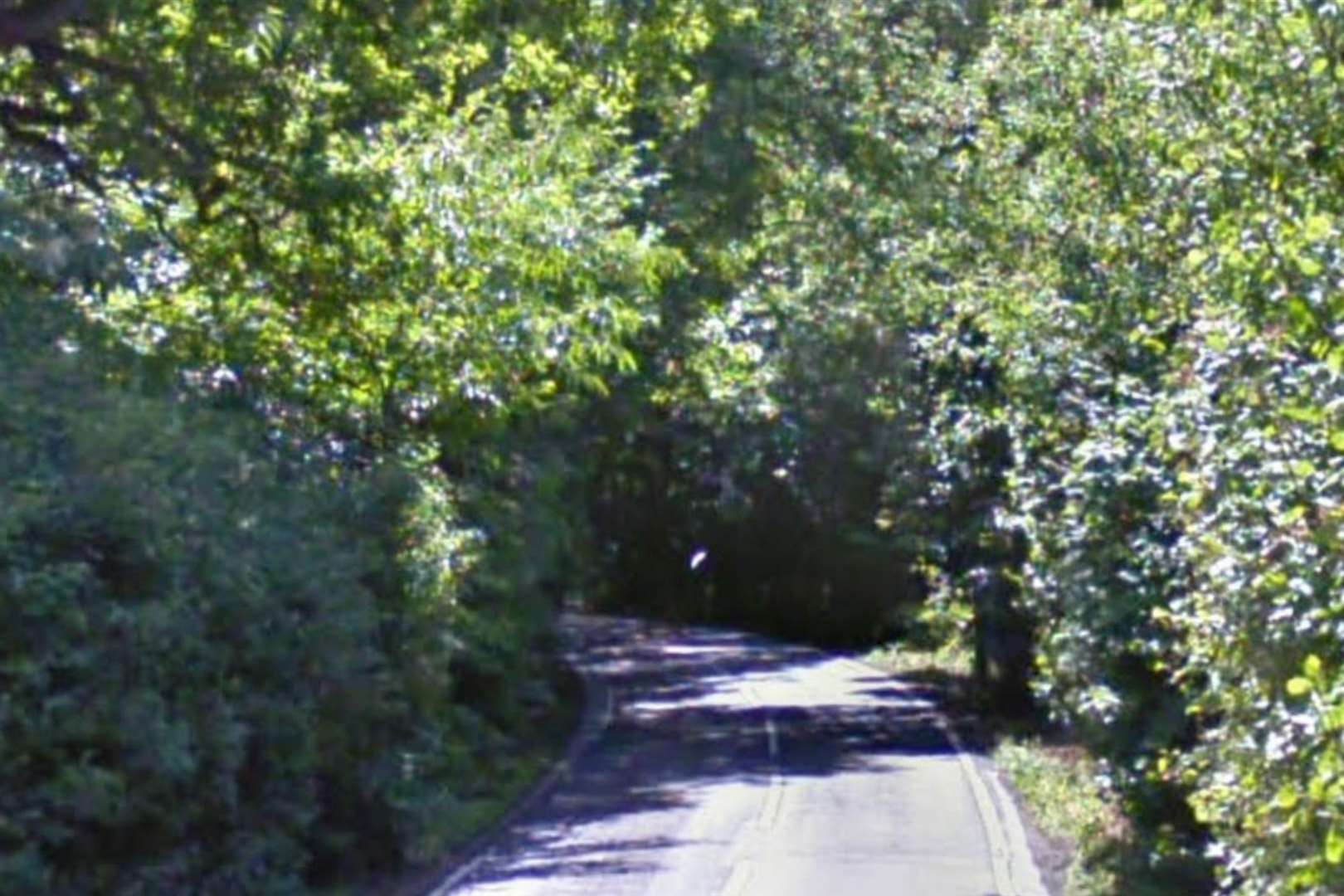 A woman and two children have been injured after a car collided with a tree on Thornden Wood Road, Whitstable. Picture: Google