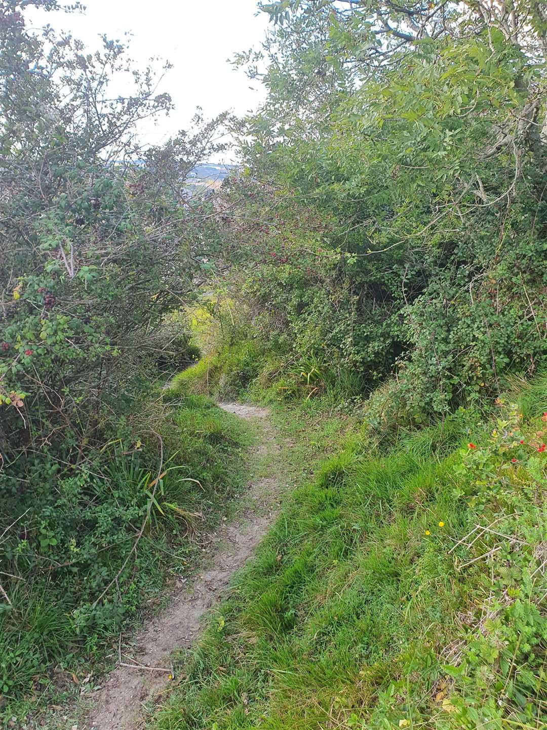Path between Caesar's Camp and Sugar Loaf Hill