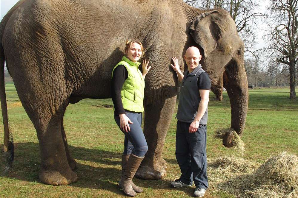 Andre and CJ with Chandrika, the Asian Elephant at Woburn Safari Park