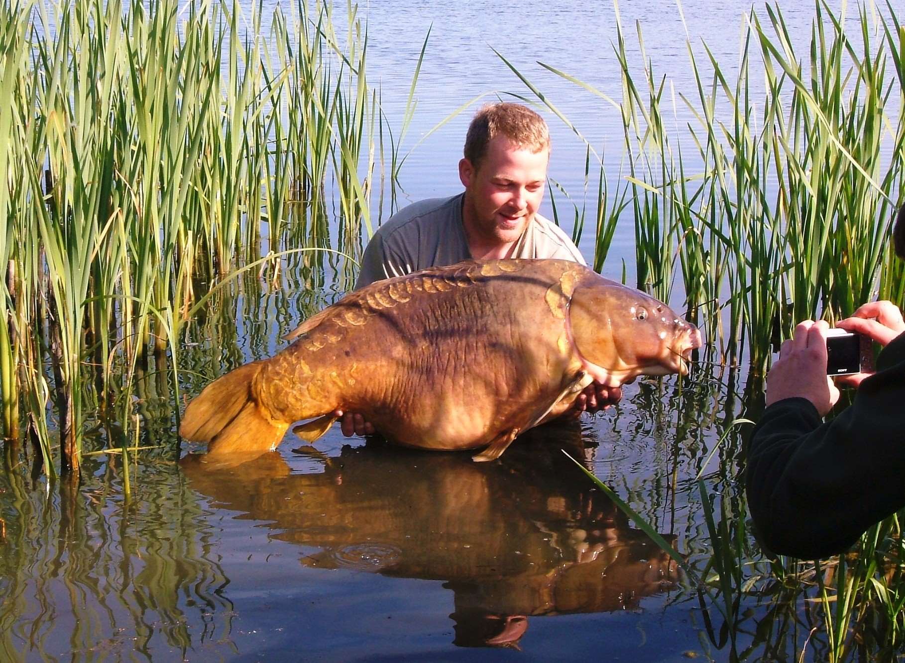 Two Tone - hailed as Britain's biggest carp until his death