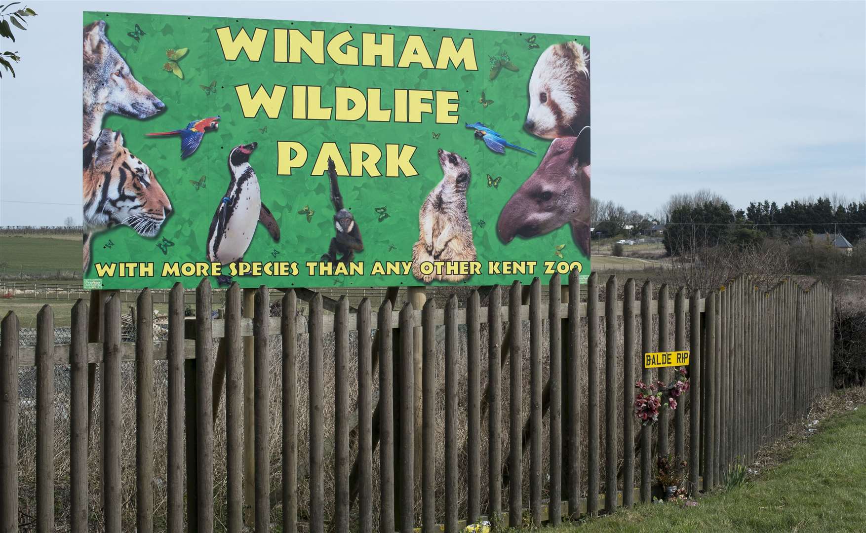 Wingham Wildlife Park will close today