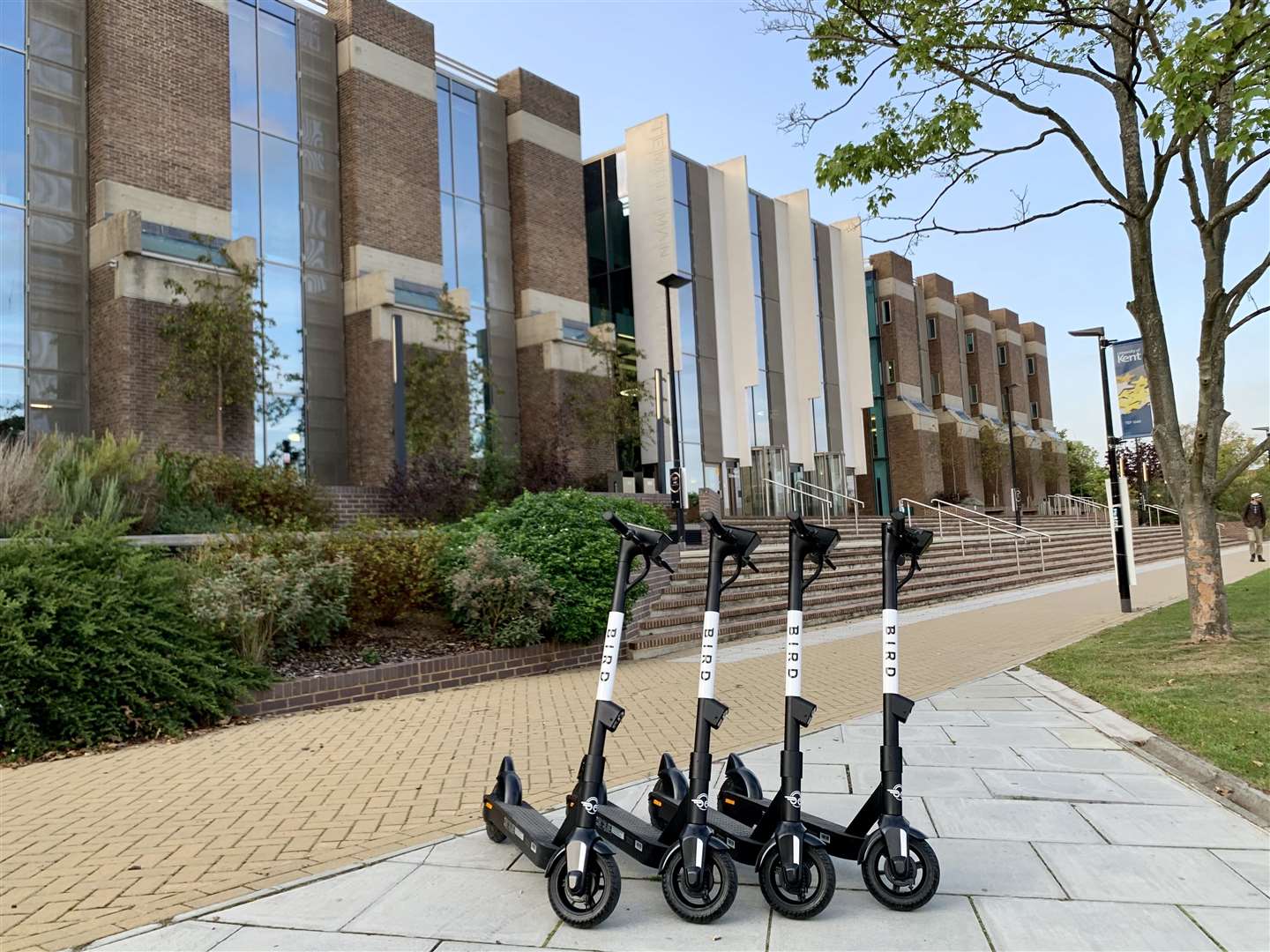 The Bird electric scooters at the University of Kent. Picture: Bird