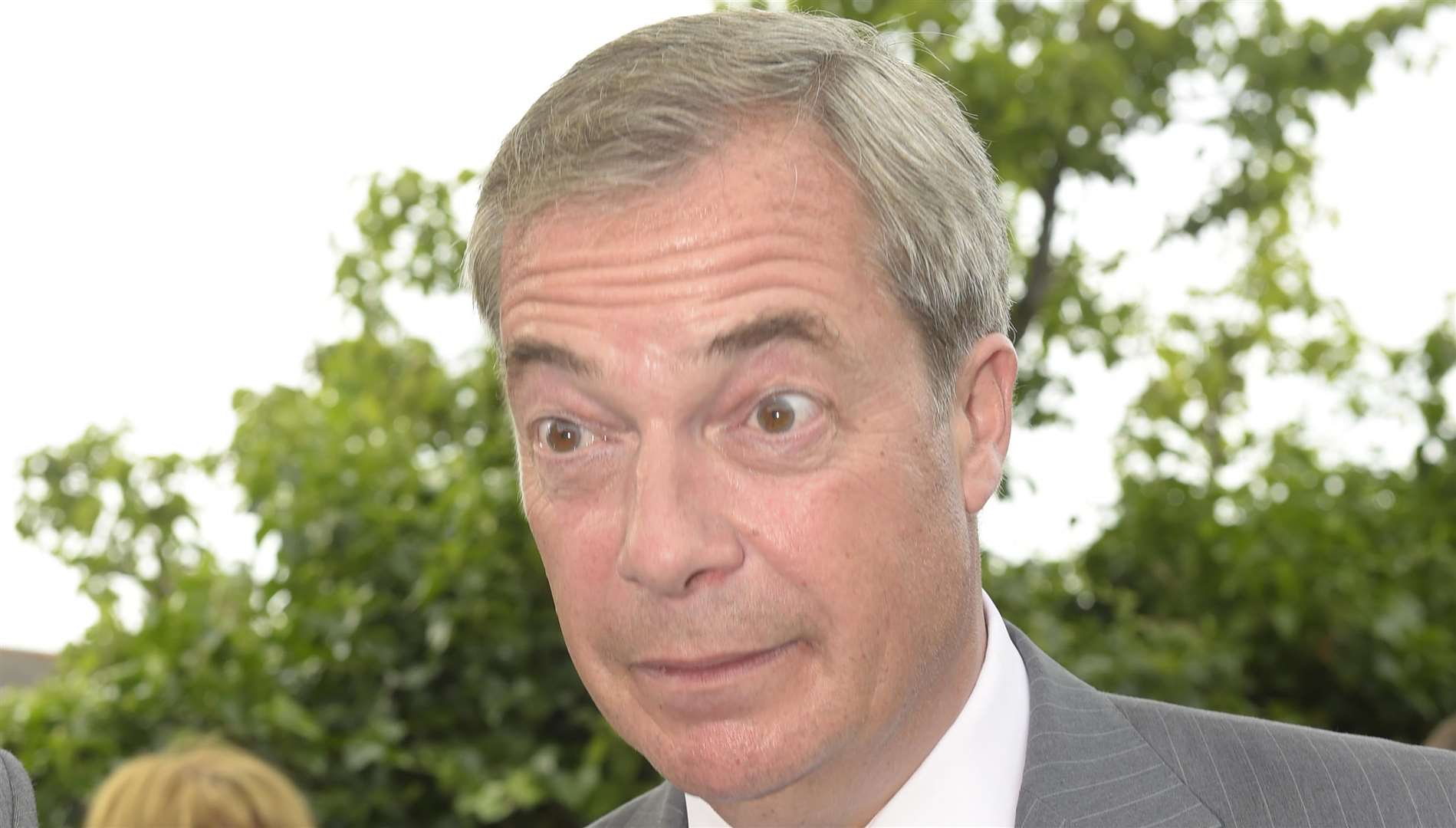 Nigel Farage. Picture: Tony Flashman