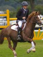 Alex Chitty in action at the Home Pony International