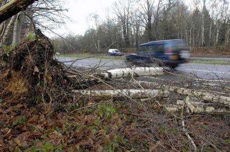 A fallen tree closed the A20 between Ashford and Charing