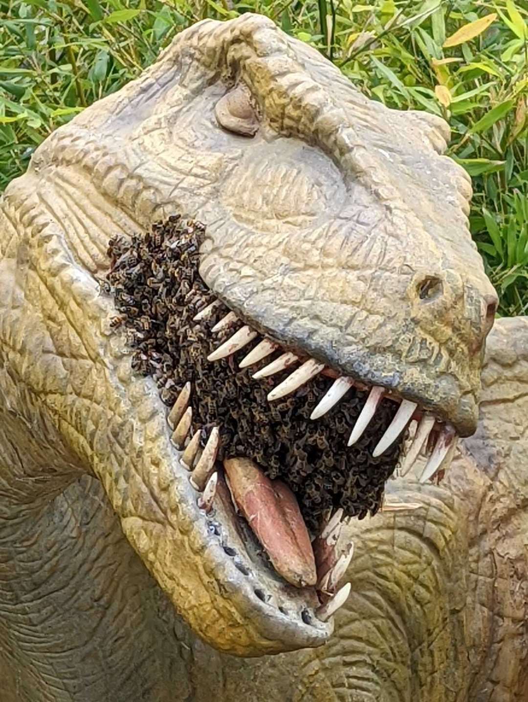 The dinosaur with a mouthful of bees