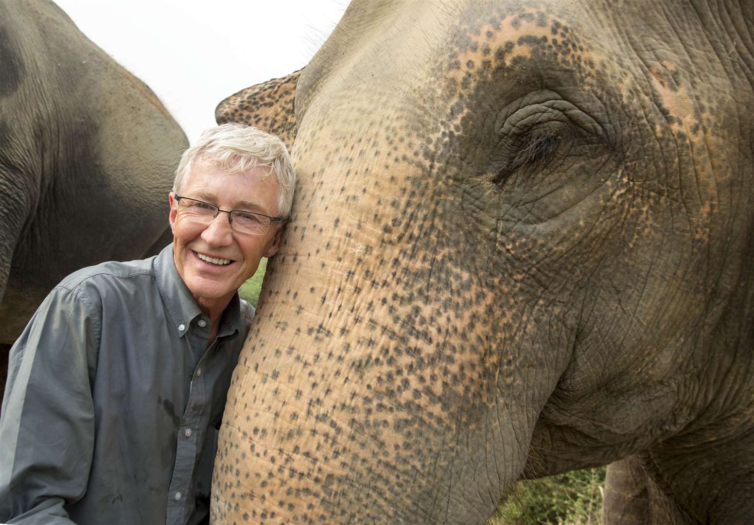 Paul O'Grady meets one of the elephants at the SOS Wildlife Sanctuary north of Delhi in India
