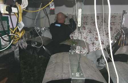 Police discovered rooms full of mature plants, watered by hosepipes and fed by a series of large 600W lamps hooked up to a timer system. Picture: JOHN WESTHROP