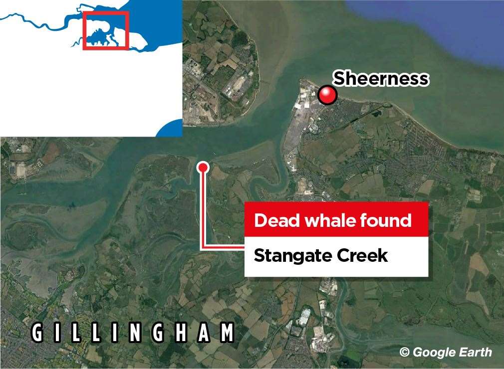Where the dead whale was found on Friday. Picture: Google Earth