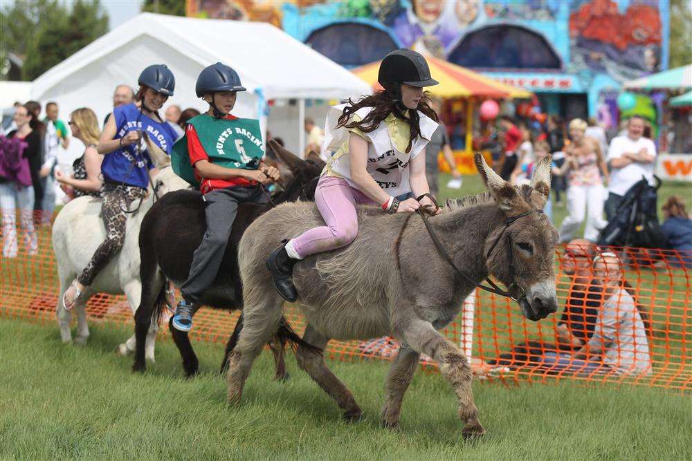 The donkey derby race gets well under way