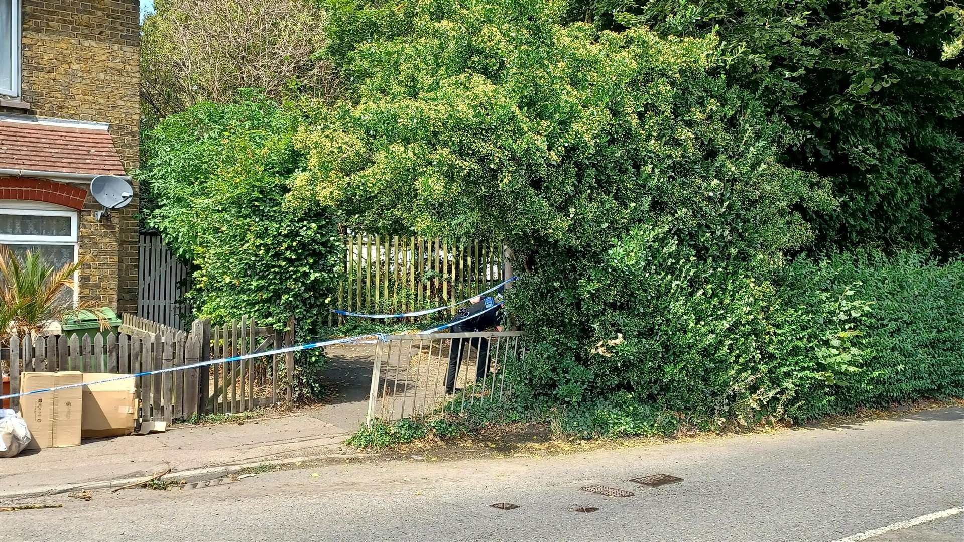 Officers were seen searching bushes in the area