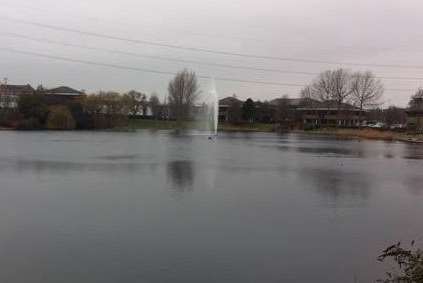 The man was spotted swimming in Cotton lake in Dartford