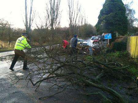 Tree falls in Bracondale Avenue, with the junction to A227 Istead Rise.