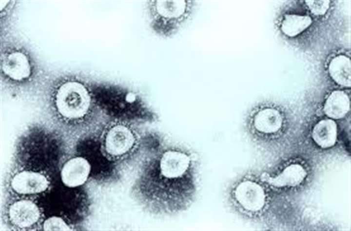 The Covid-19 outbreak originated in Wuhan, China