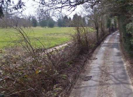 Manor Lane in Fawkham, near where the attack is said to have happened. Picture: Google Street View