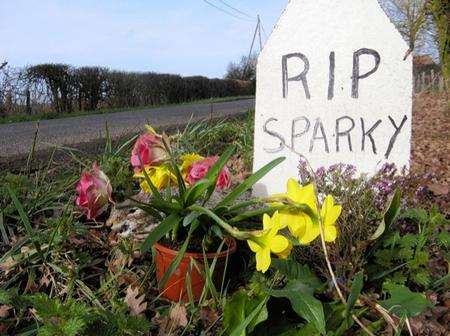 Memorial for "Sparky" the electrocuted squirrel who was stuck in electrical wires in Stone-in-Oxney for two months.