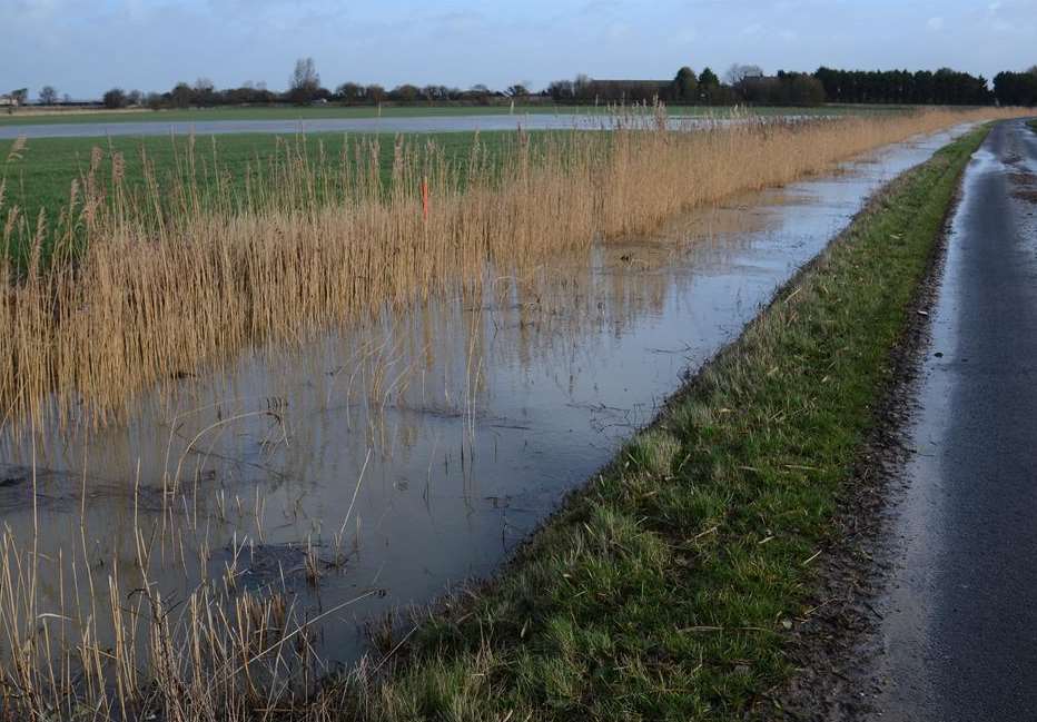 Waterlogged farmland and overfilled dike, Romney Marsh