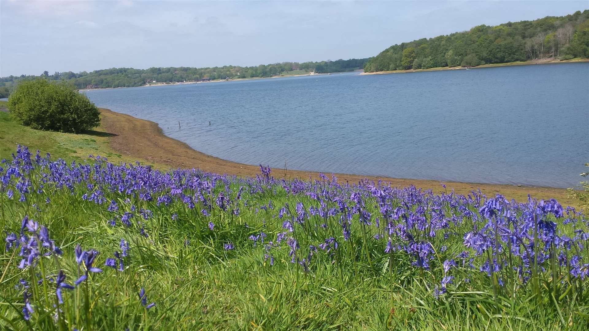 People can visit Bewl Water for exercise again as it reopens following the government's ease on exercise lockdown measures