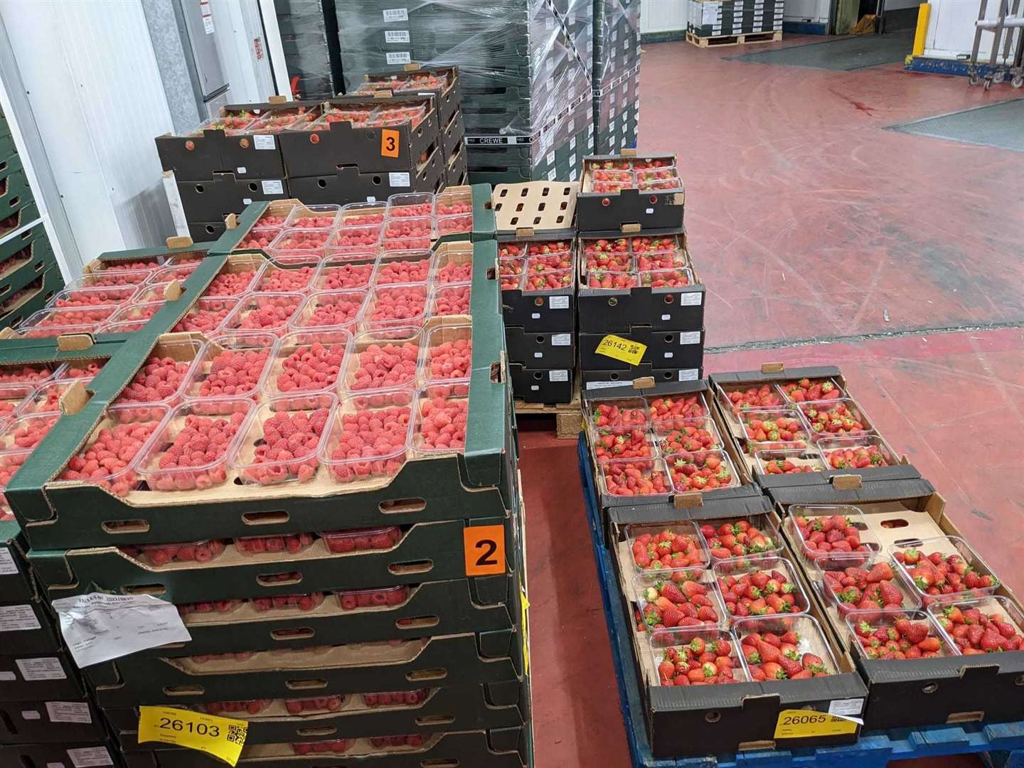 Winterwood Farms pack 20,000 tons of soft fruit every year