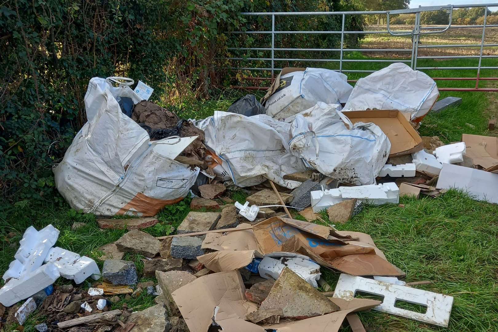 The rubbish in Hamstreet. Photo: Ashford council