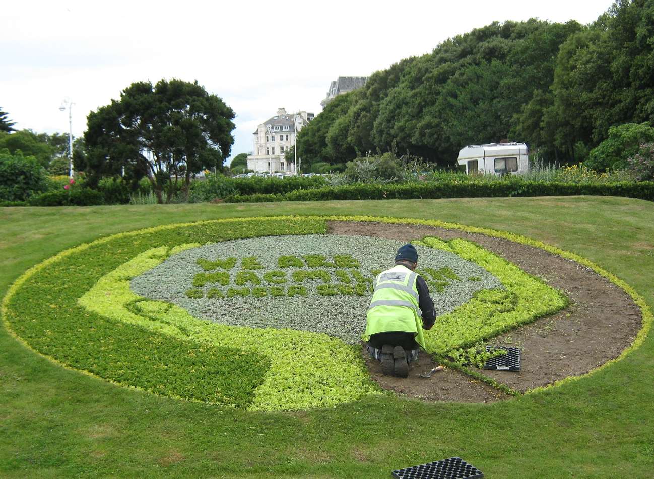 A Macmillan flower bed which was planted in 2011. It is part of an annual initiative to support charities.