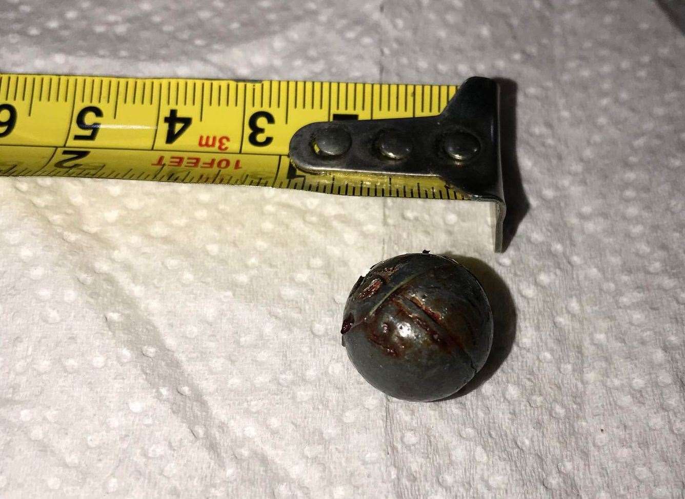 Megan Sowa found this metal pellet near two dead hedgehogs in West Malling