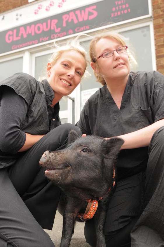 Staff from Glamour Paws dog grooming in Halfway with Winnie the pig