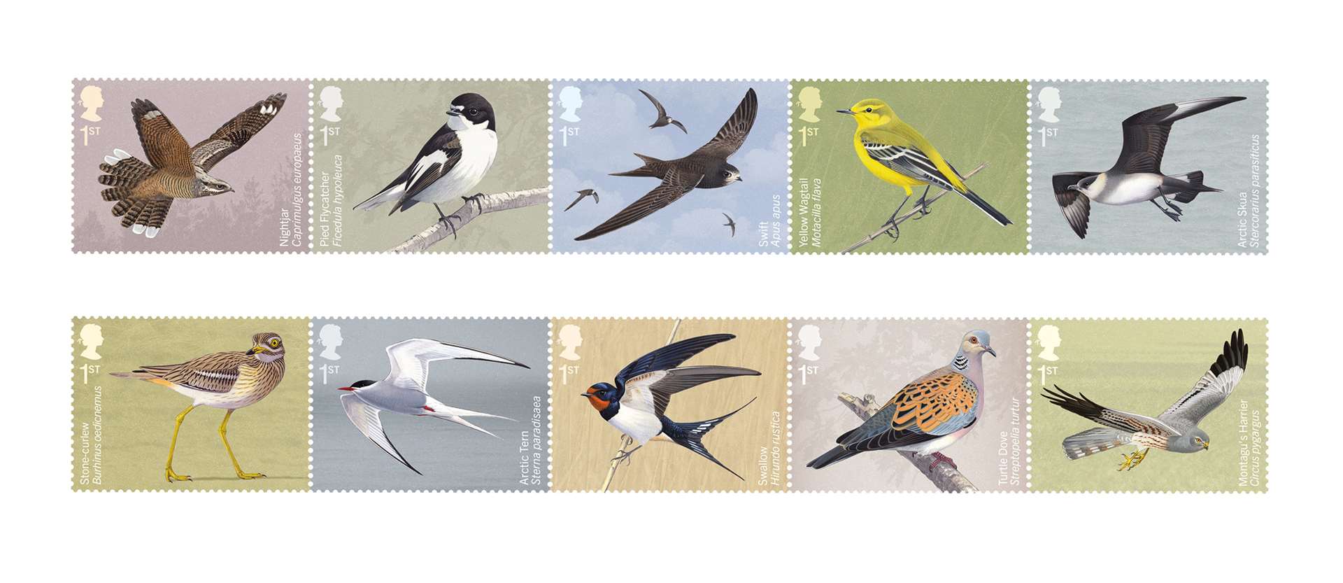 The latest stamps feature migratory birds and have been released by Royal Mail