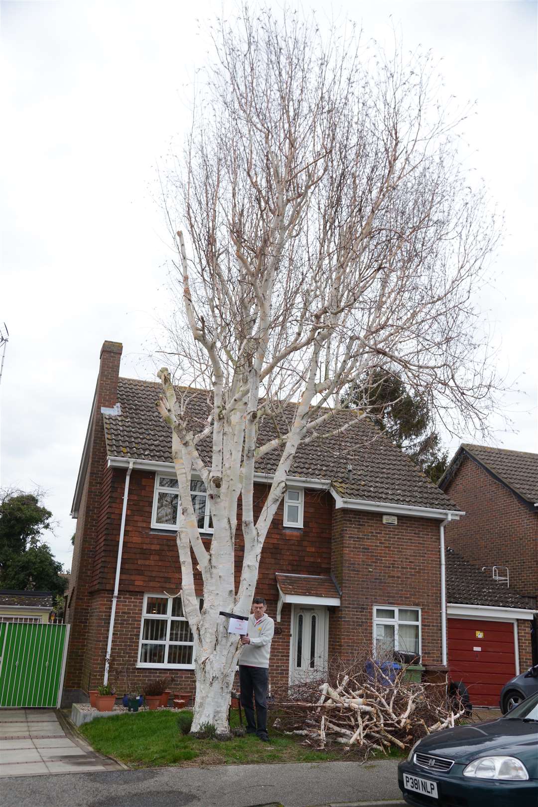 Paul Durkin and the Himalayan Silver Burch tree in his garden which has been vandalised.