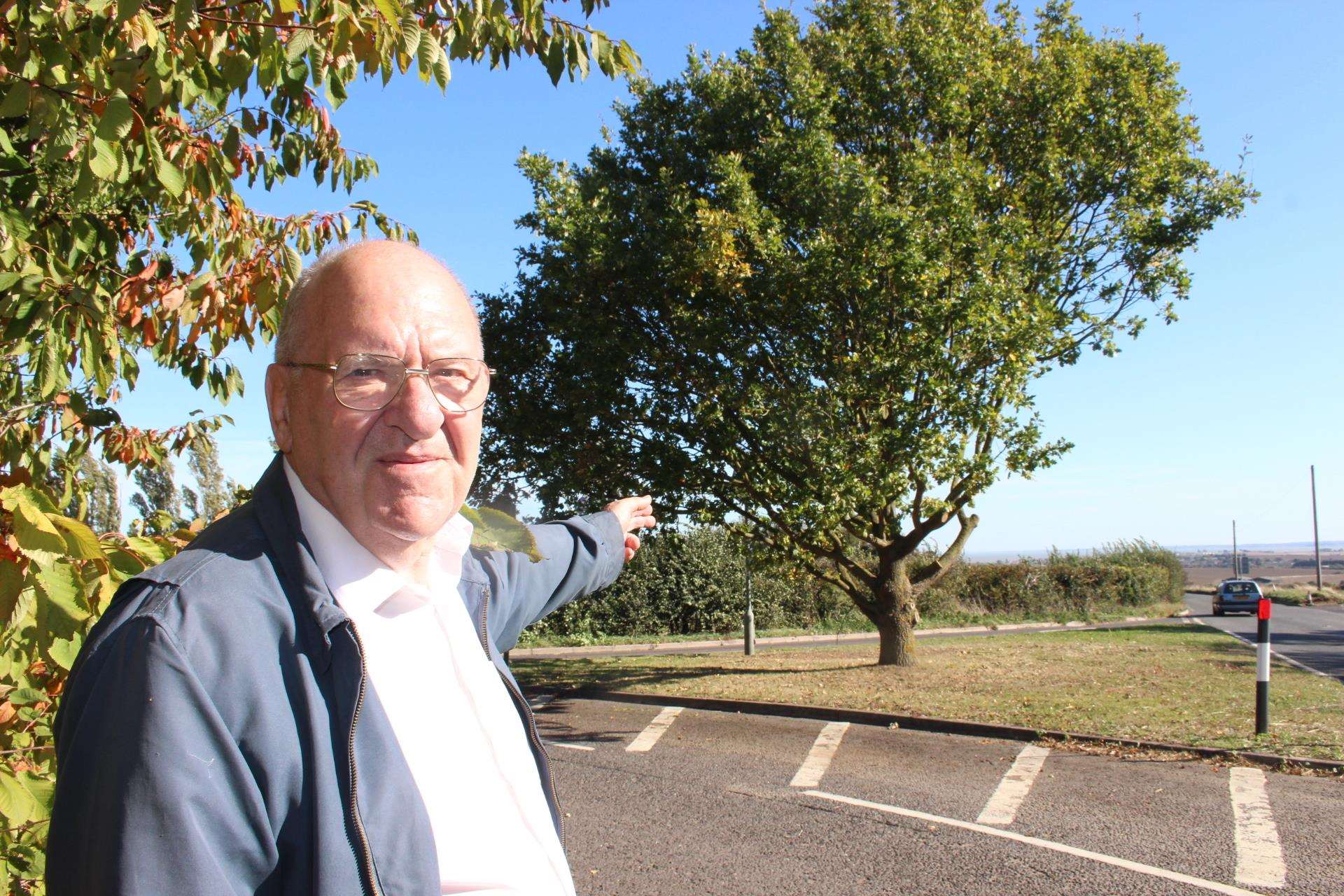 Mike Brown points to the lopsided oak tree at Eastchurch (4748335)