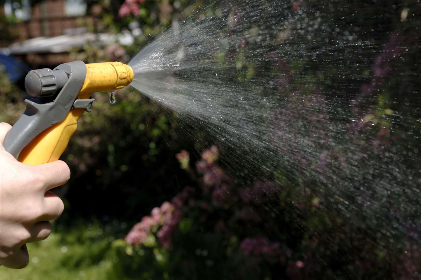 South East Water have announced a hosepipe ban. Stock image