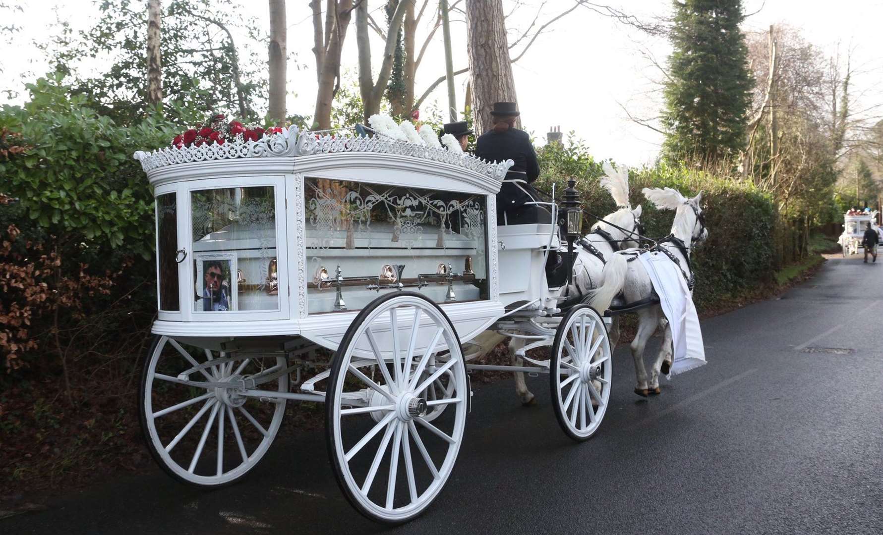 The horse drawn hearse carrying the brothers' coffins. Picture: UKnip