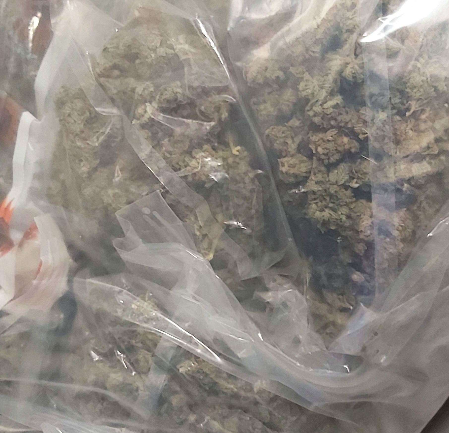 Cannabis cultivation and plants were seized