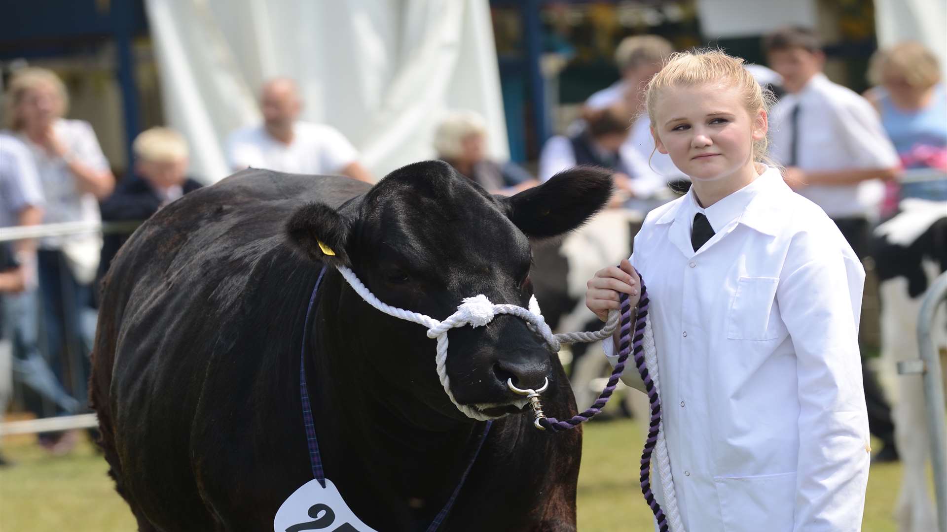 Millie Smith from New Line Learning young farmers' club at last year's show