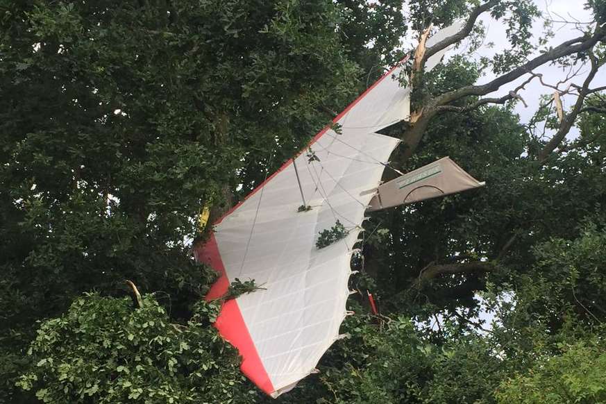Part of the aircraft wedged between branches. Picture: SECAmb Hart
