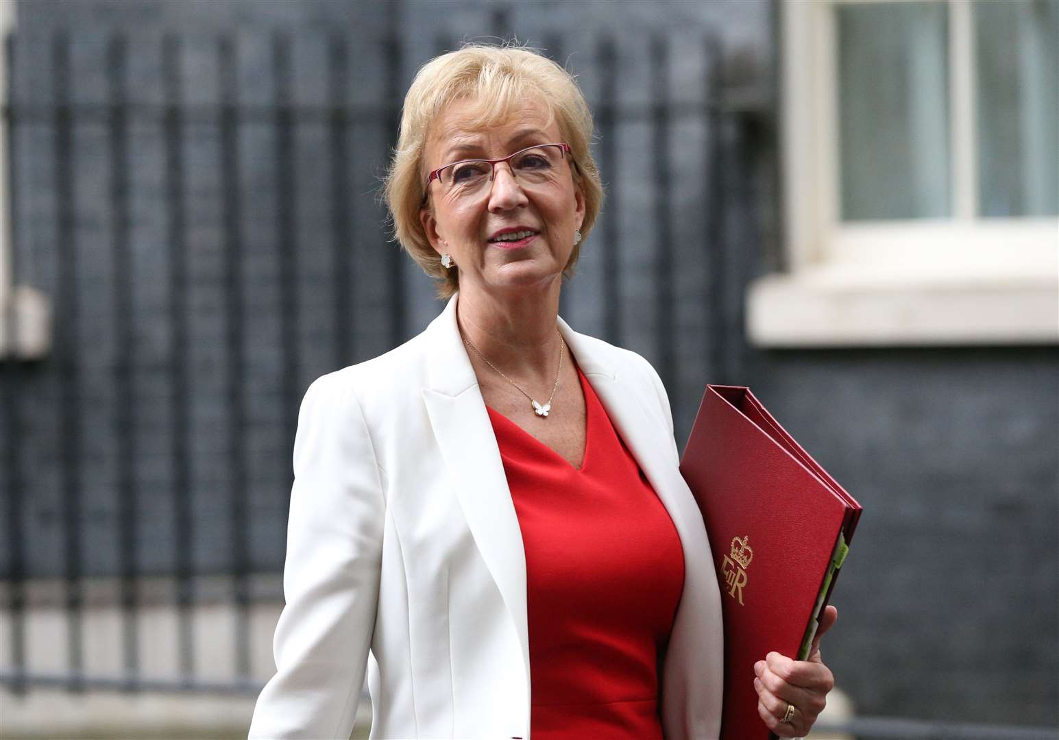 Dame Andrea Leadsom’s amendment seeks to reform the standards process (PA)