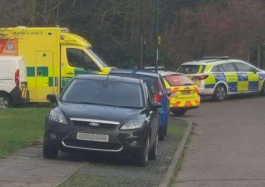 Emergency services at the scene after a dog attack on Rede Common. Picture supplied by Tina Mckenna (6211479)