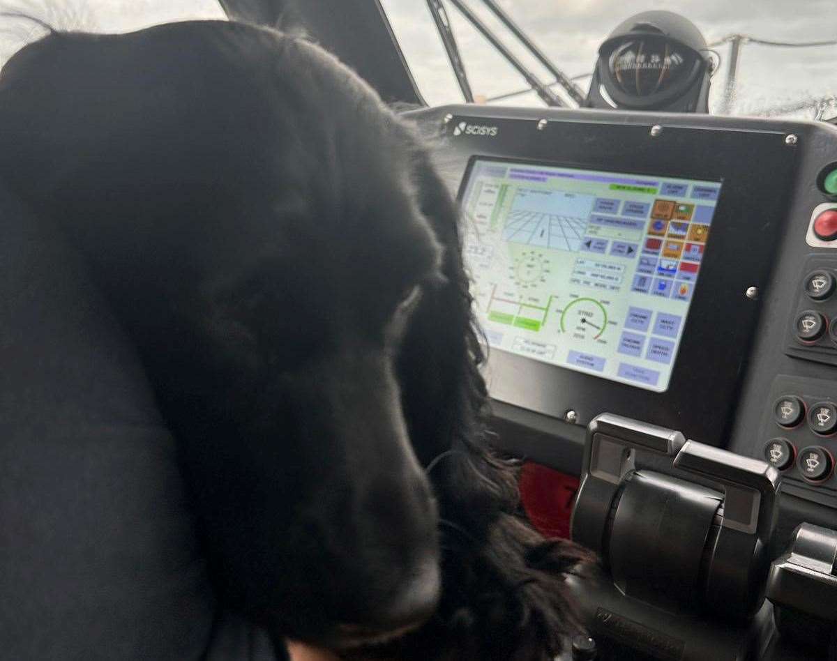 Luna was rescued alongside her two owners after their boat began filling up with water. Picture: RNLI
