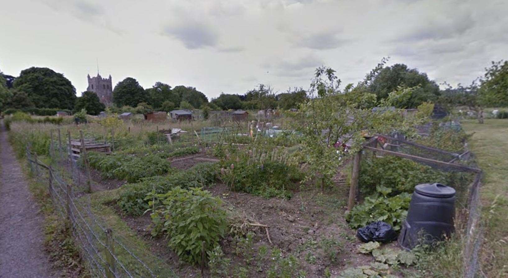 The allotments in Churchfield Way, Wye. Picture: Google Street View