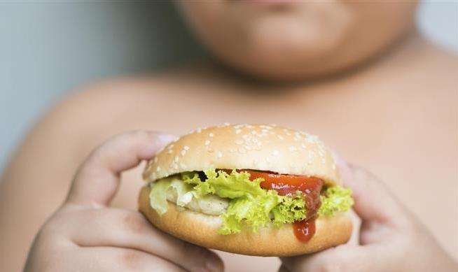 An obese child. Stock image (5833943)