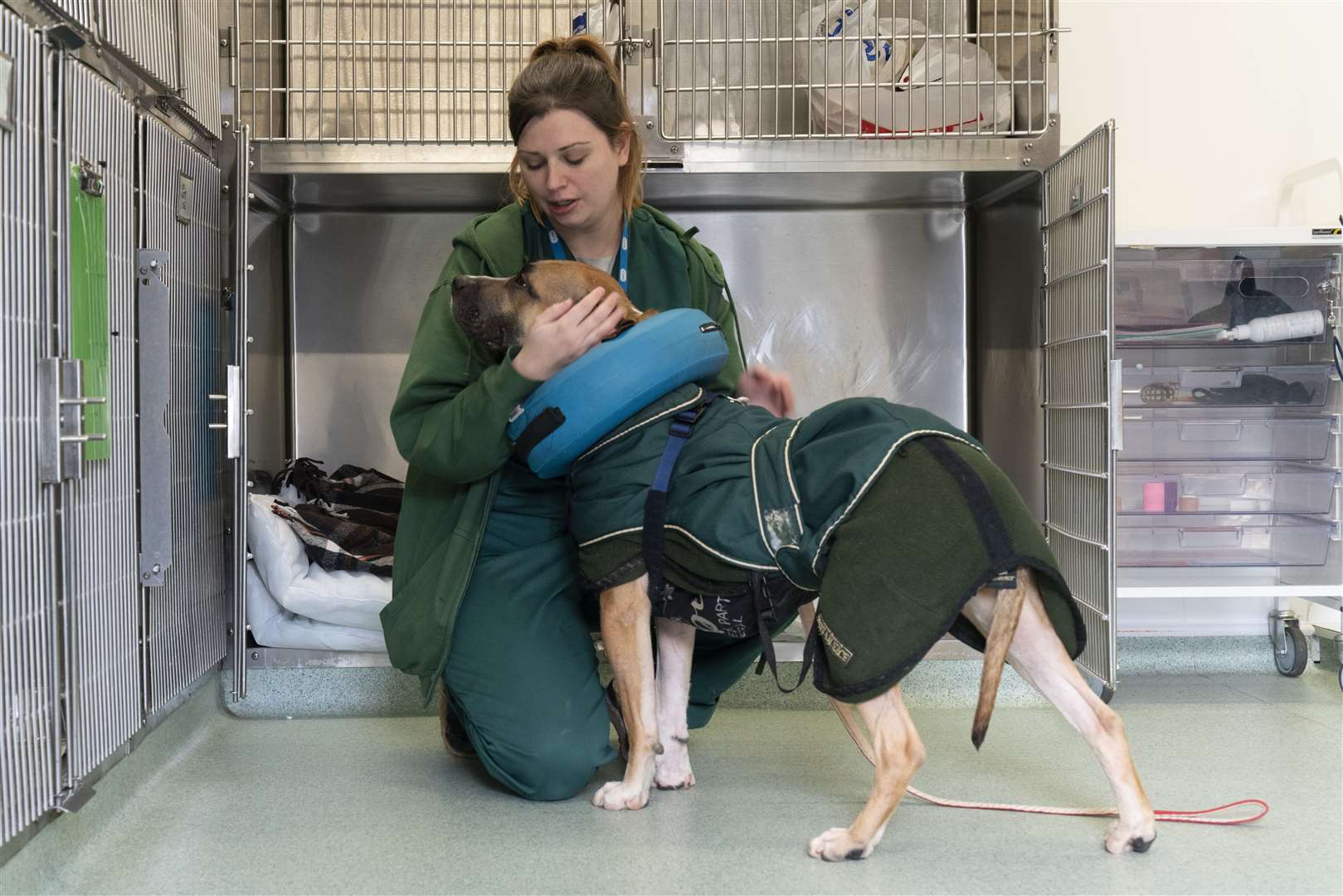 The RSPCA is continuing its vital work looking after sick and abandoned animals