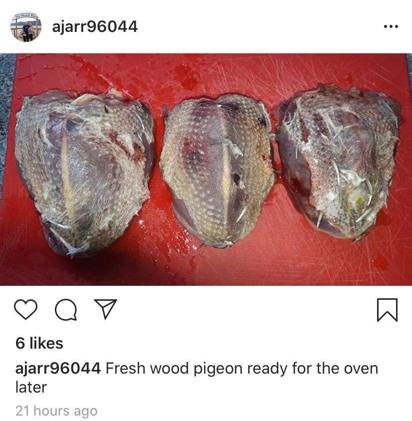 Cllr Jarrett posted photos of pigeon meat on his Instagram. Picture: @ajarr96044 on Instagram