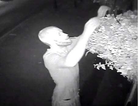 Joseph Scott was caught on camera pulling down a hanging basket outside the Maidens Head pub in Canterbury