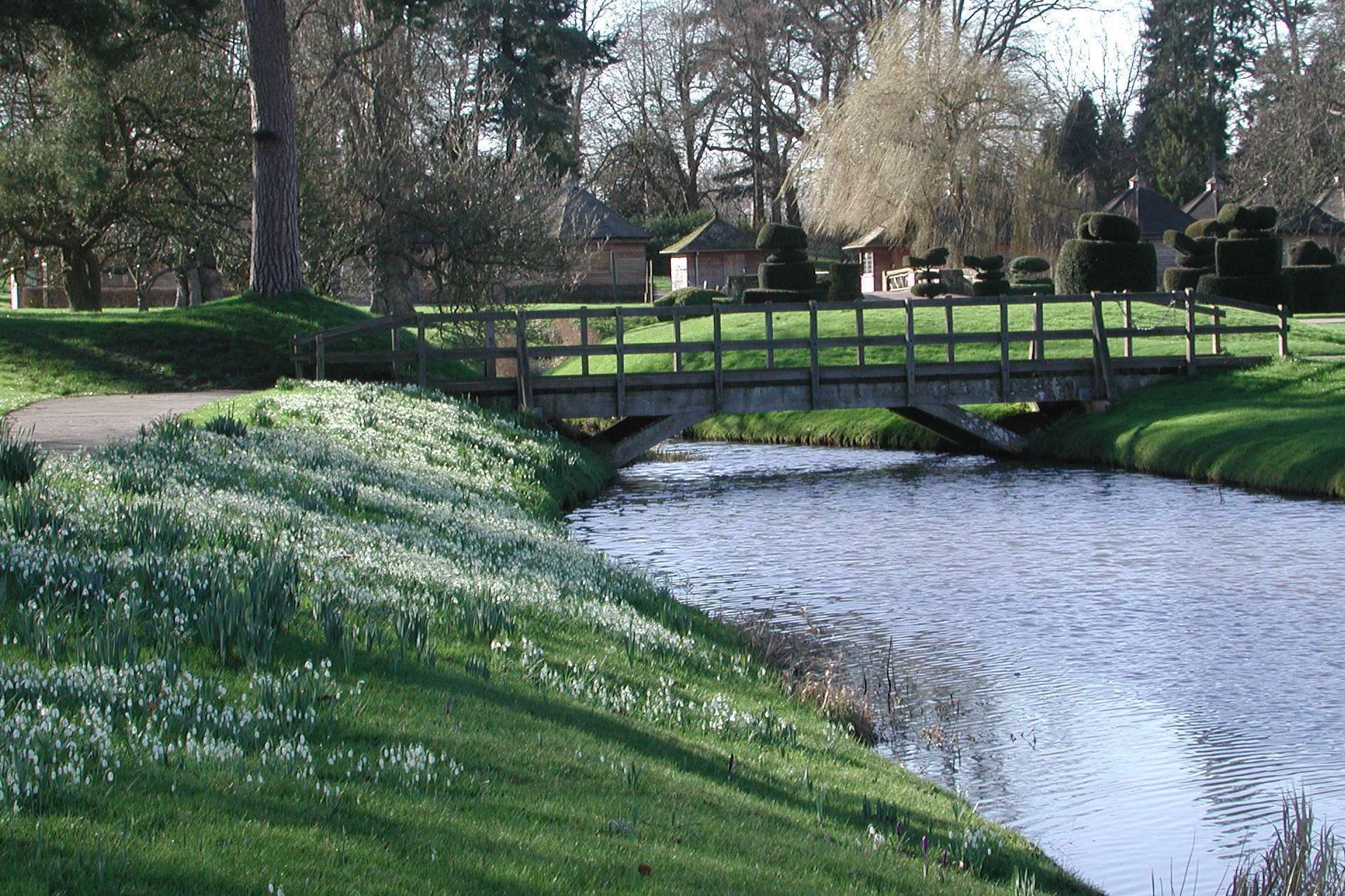 The snowdrop trail at Hever Castle