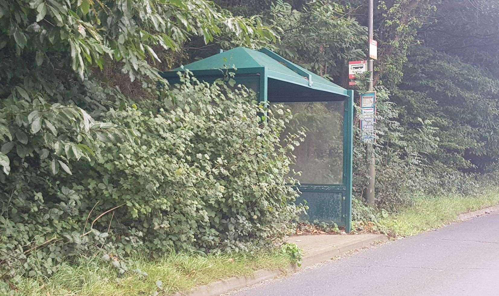The bus shelter at Gleaming Wood Drive, Timber Tops. Picture: Vanessa Jones