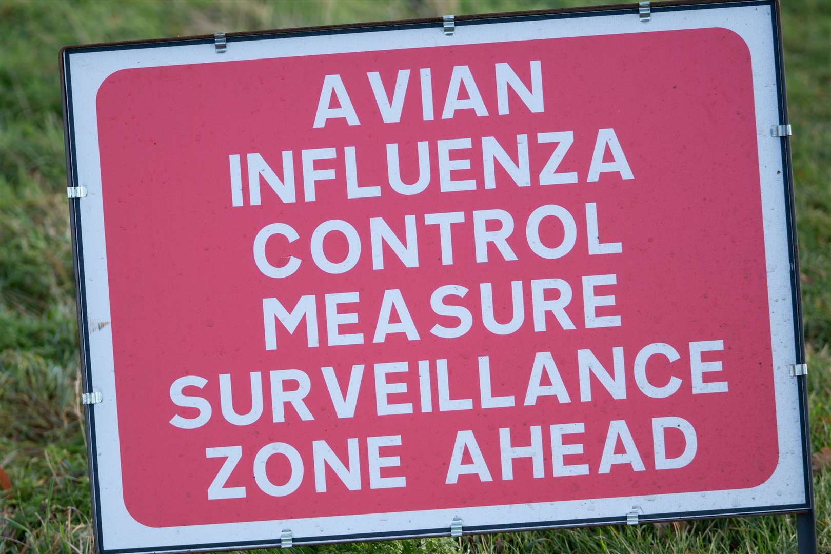 Strict rules brought in under the avian influenza prevention zone will still apply (Joe Giddens/PA)