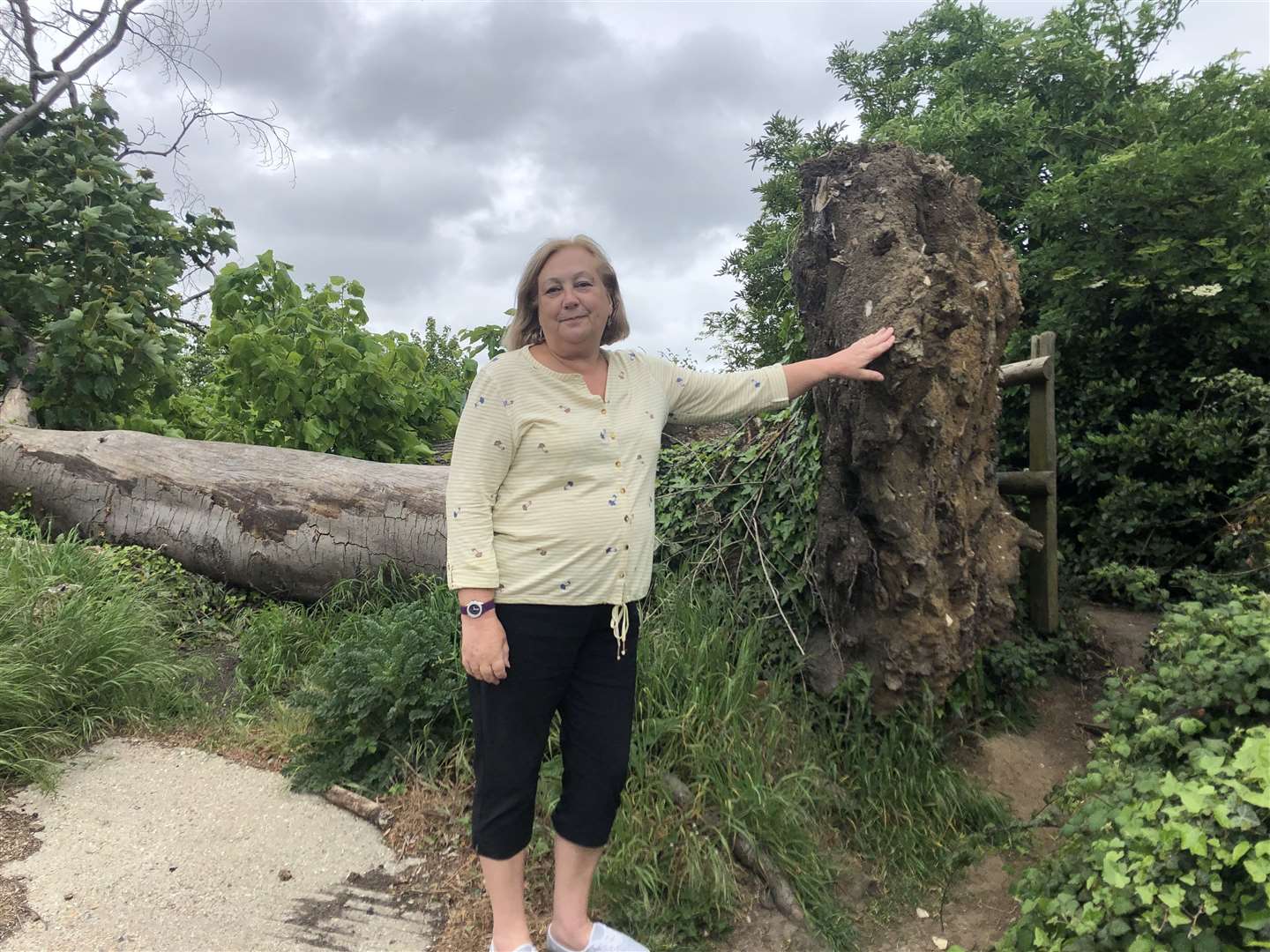 Resident Sharon Vasudaven said she was used to the tree now