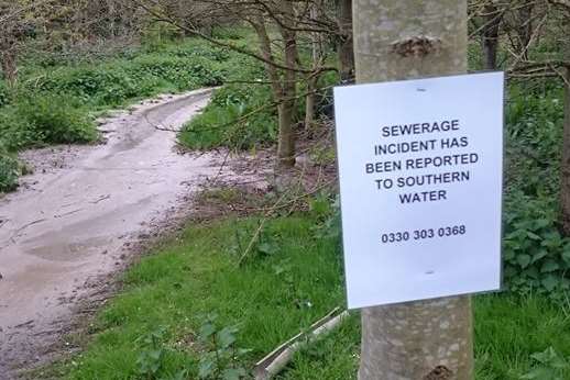 A warning sign has been placed on trees alerting people to the issue
