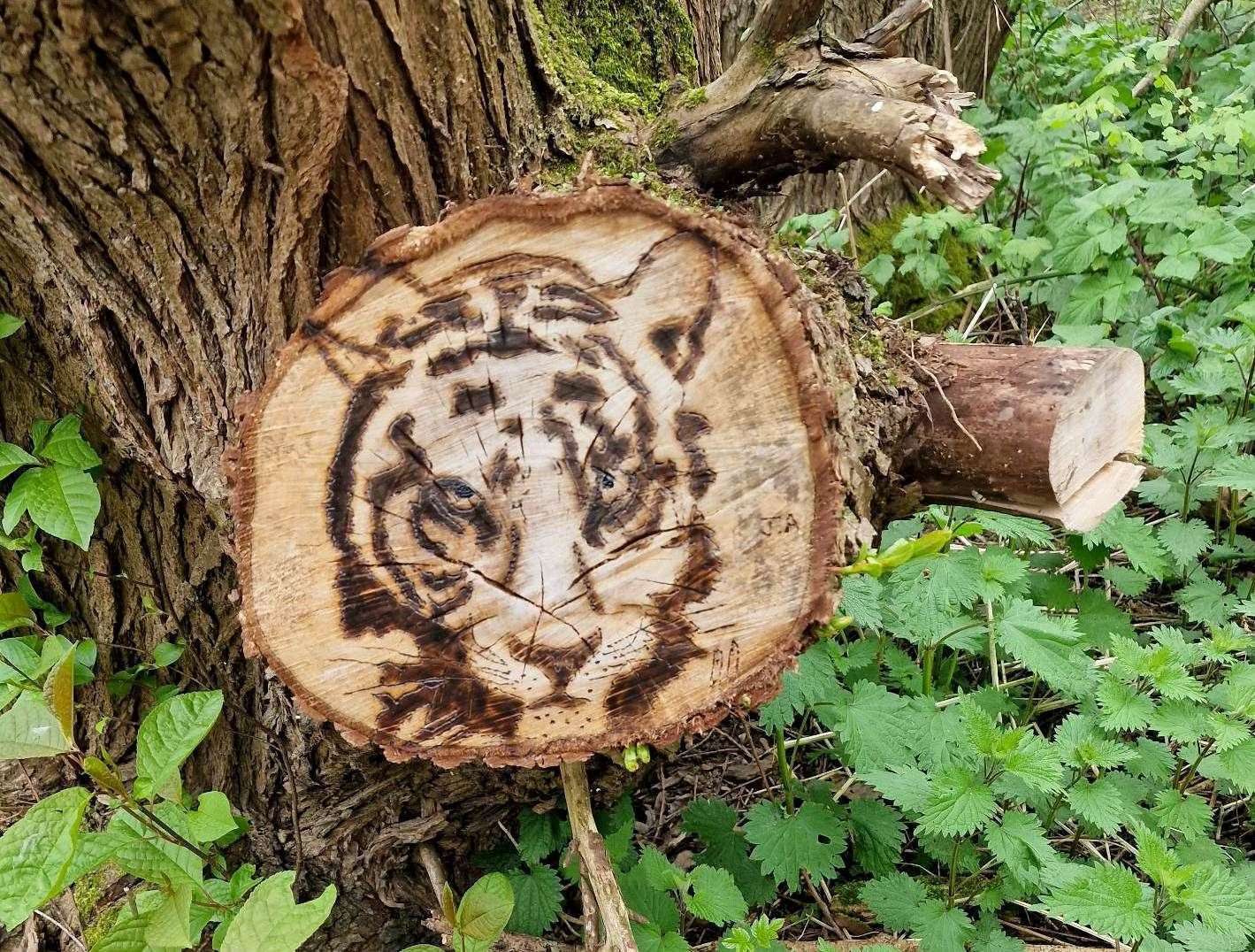 He recently created pictures of animals on tree stumps along a path at the Little Burton estatePictures: Jon Allcorn