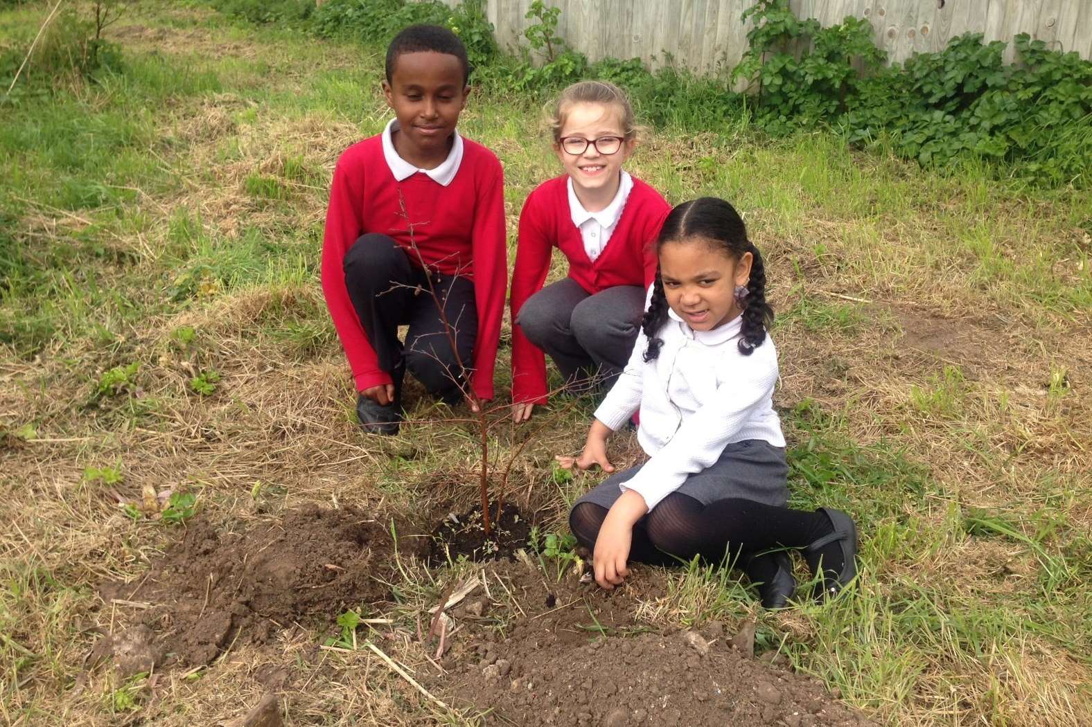 Pupils Werasi, Megan, and Onose get ready to plant their trees